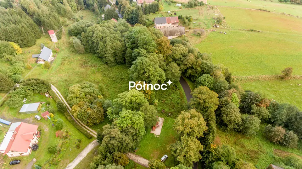 Zdjęcie 6