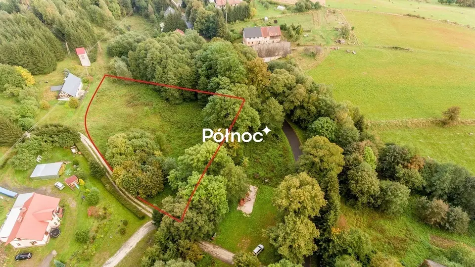 Zdjęcie 7