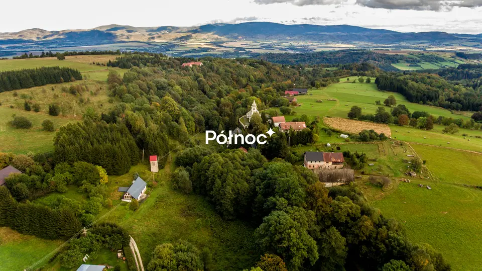 Zdjęcie 8