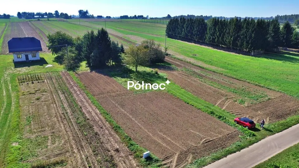 Zdjęcie 3