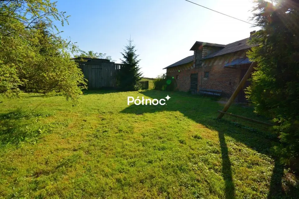 Zdjęcie 4