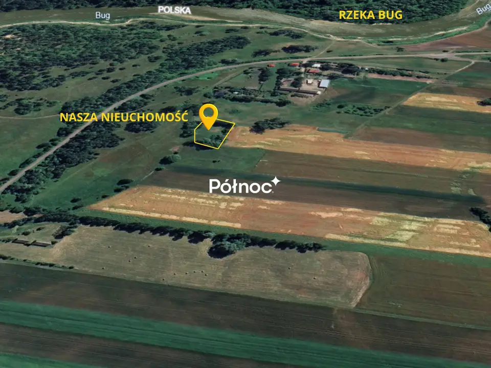 Zdjęcie 2