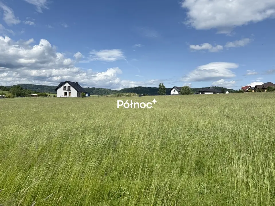 Zdjęcie 6