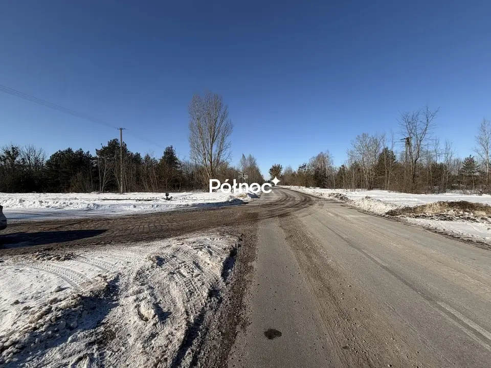 Zdjęcie 5