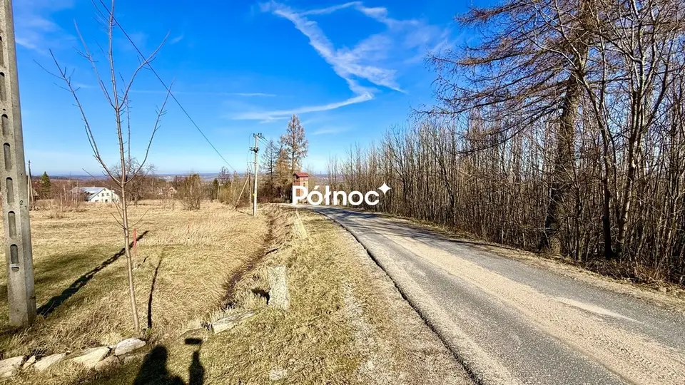 Zdjęcie 4