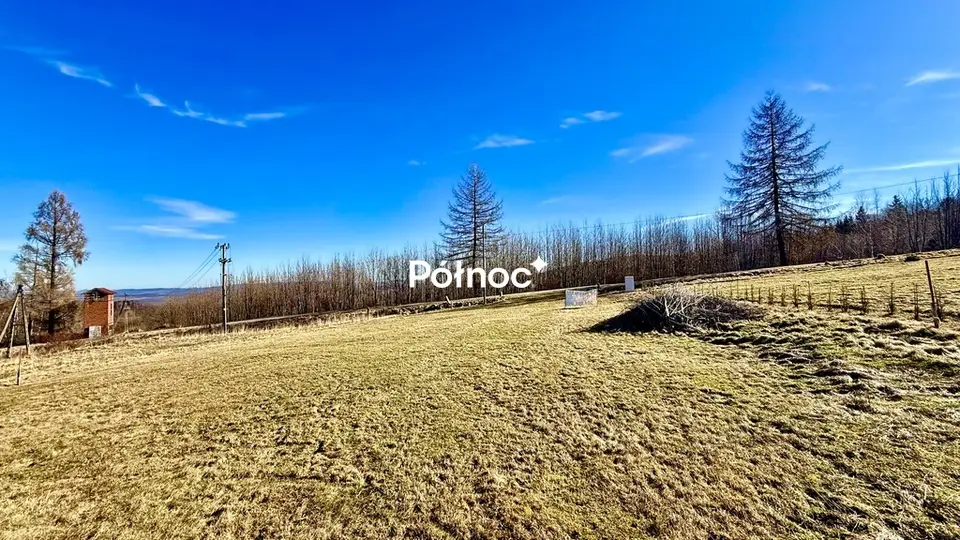 Zdjęcie 8