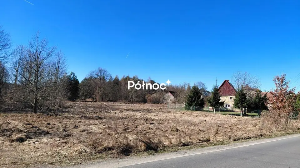 Zdjęcie 3