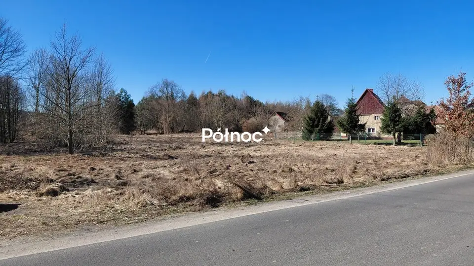 Zdjęcie 4