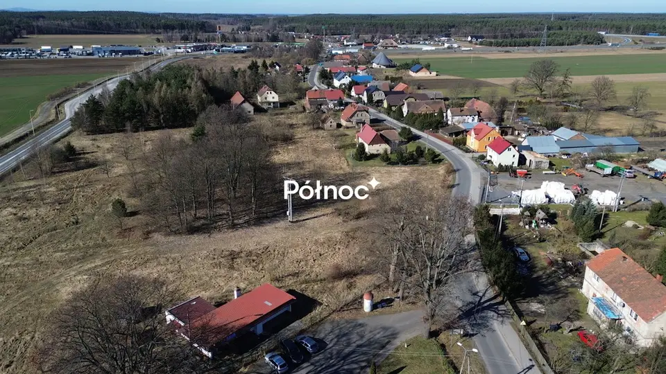 Zdjęcie 8