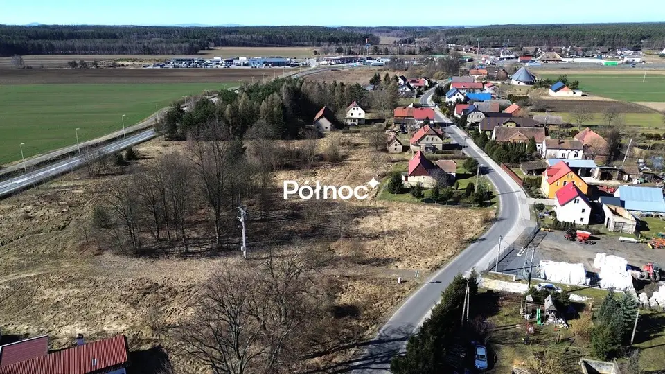 Zdjęcie 10