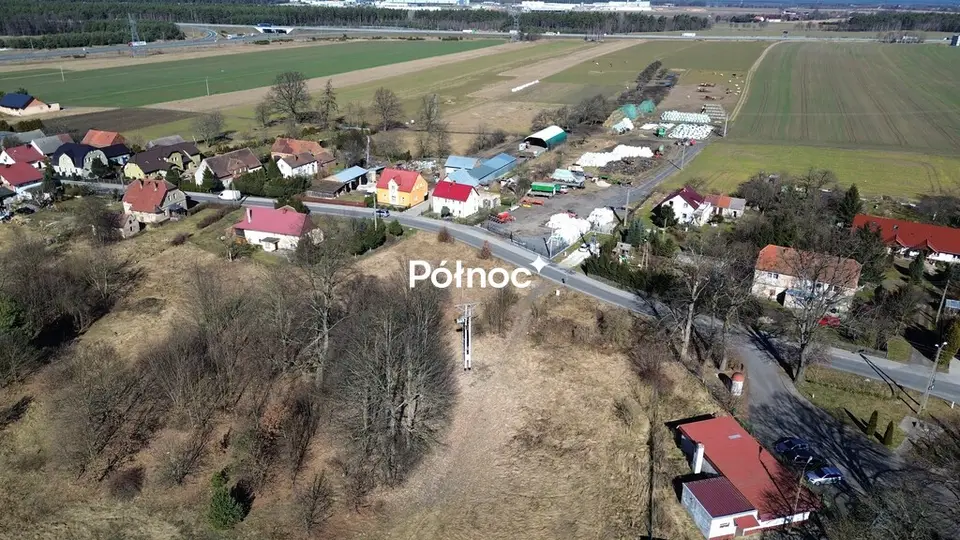 Zdjęcie 11