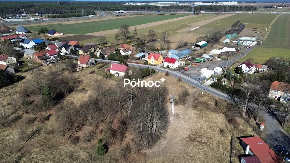 Zdjęcie 12