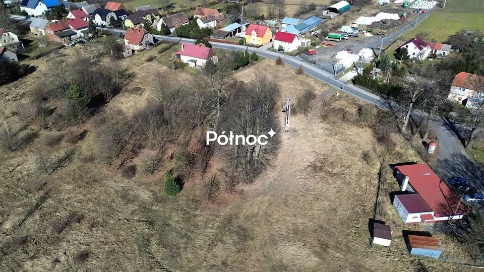 Zdjęcie 13
