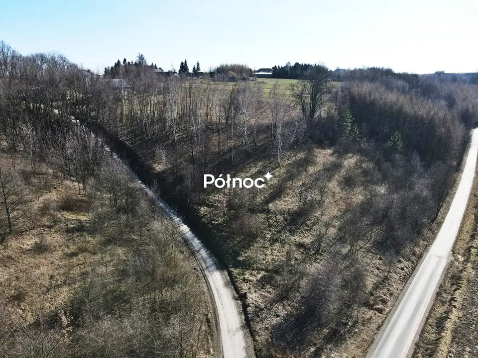 Zdjęcie 2