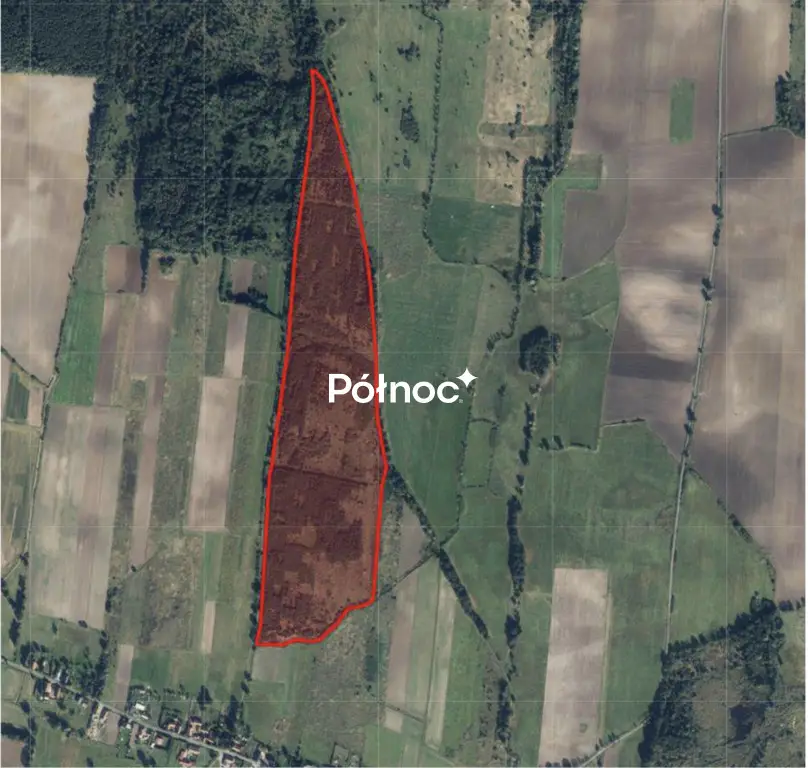 Działka leśna 21,85 ha, Grzymalin