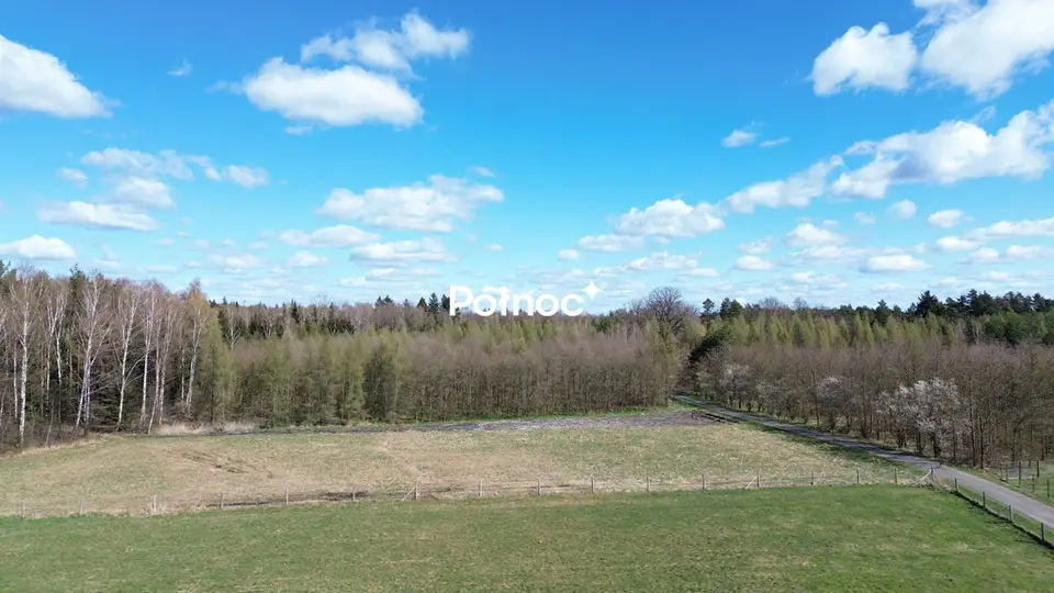 Zdjęcie 5