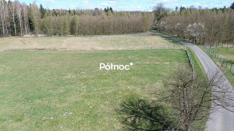 Zdjęcie 9