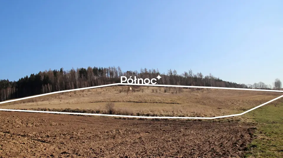 Zdjęcie 8
