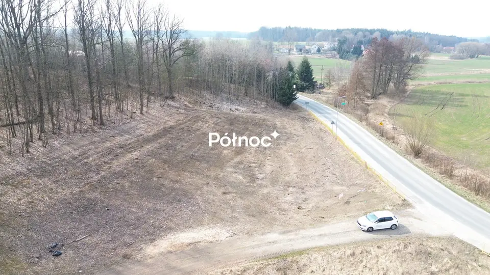 Zdjęcie 6