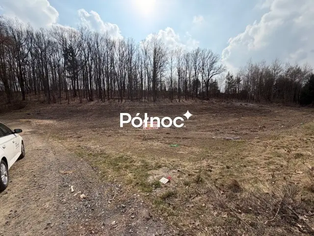 Zdjęcie 7