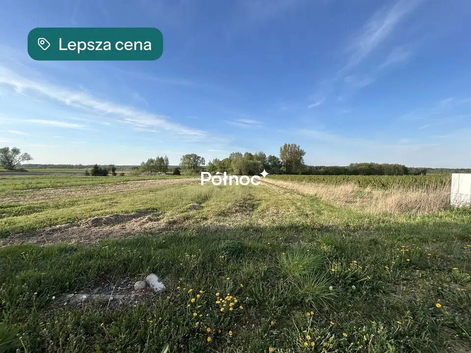 Zdjęcie 4
