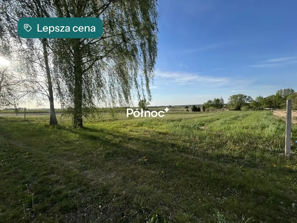 Zdjęcie 5
