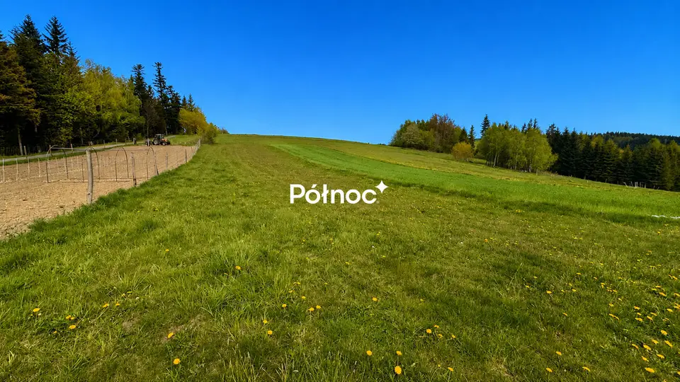 Zdjęcie 3