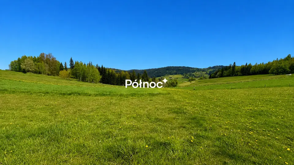 Zdjęcie 4