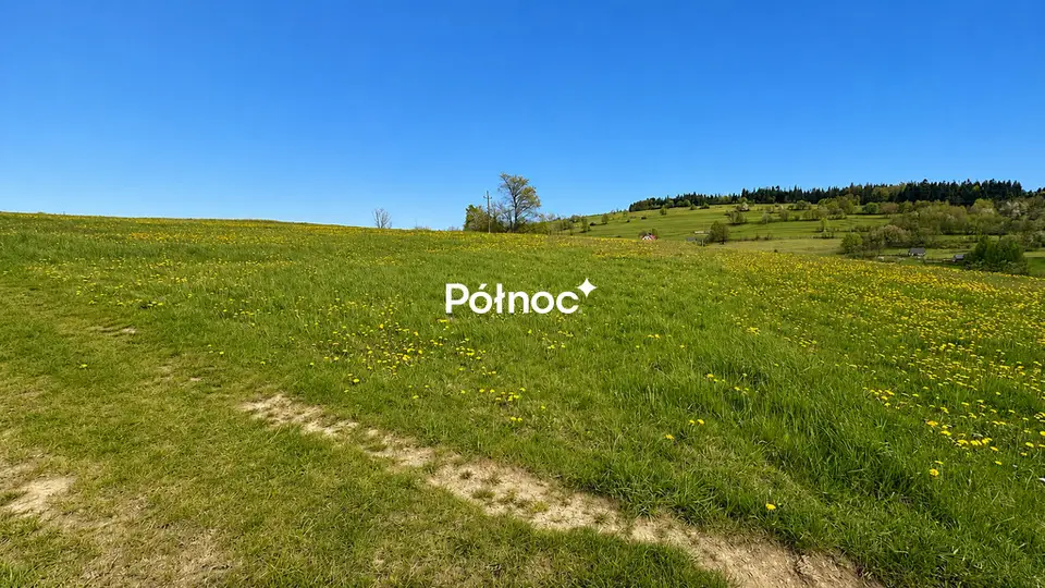 Zdjęcie 5
