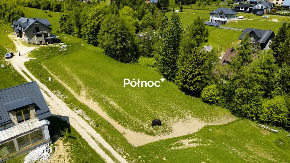 Zdjęcie 8