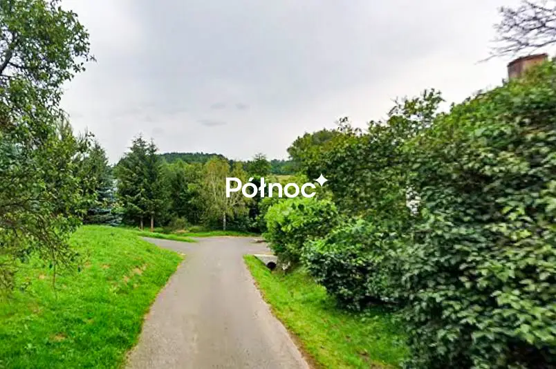 Zdjęcie 5