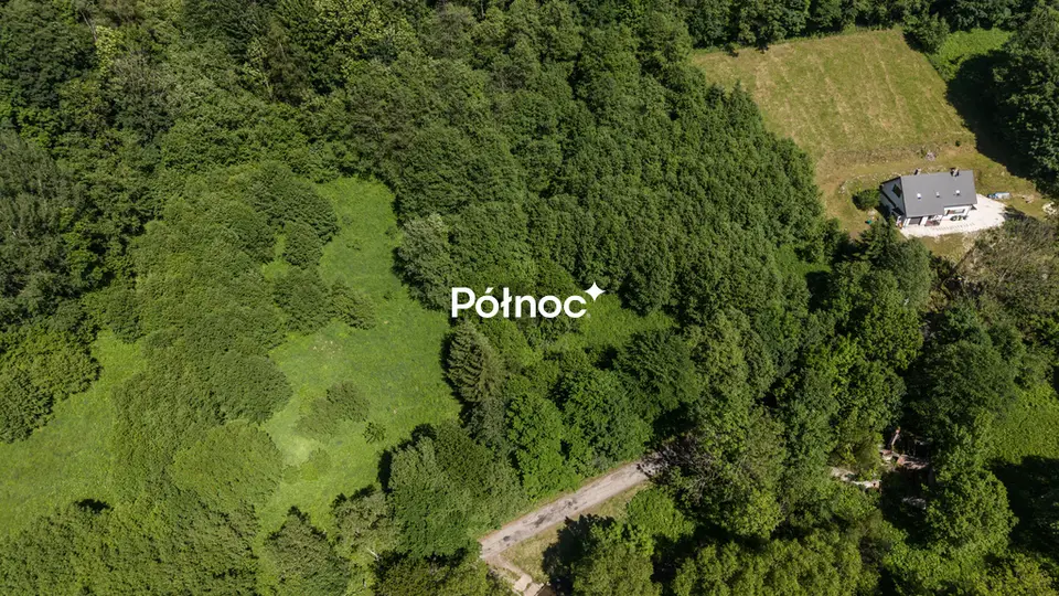 Zdjęcie 7