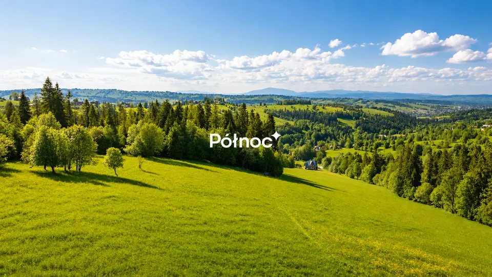 Zdjęcie 2