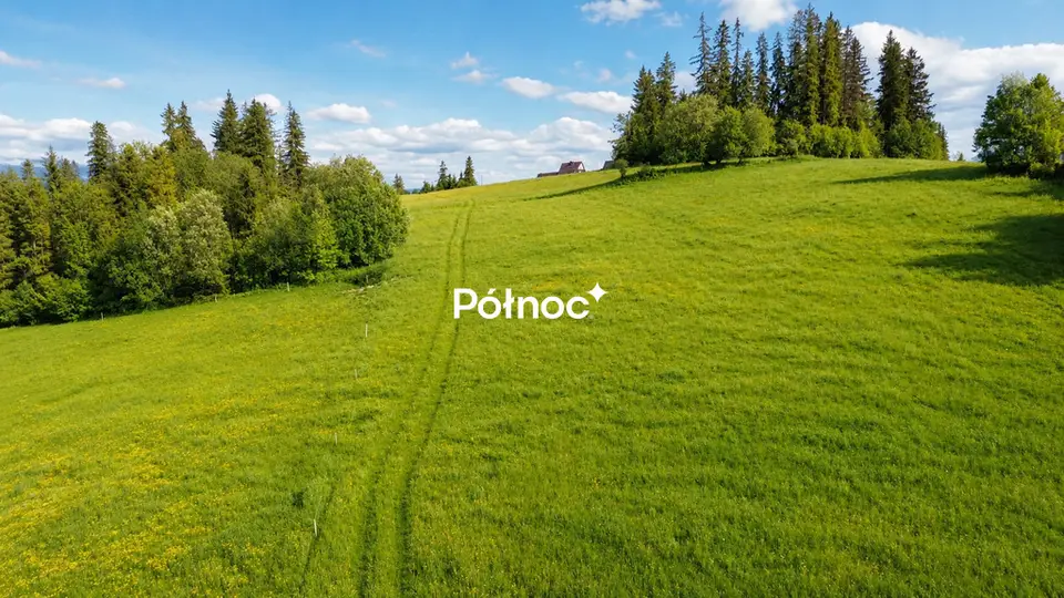 Zdjęcie 3