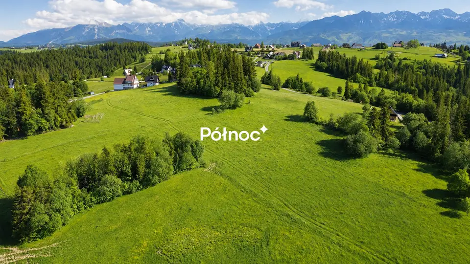 Zdjęcie 5
