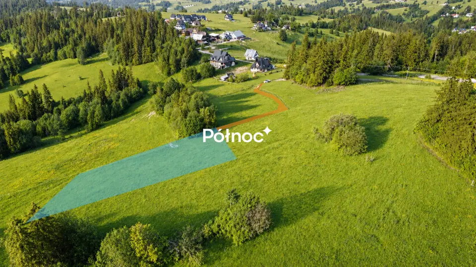 Zdjęcie 8