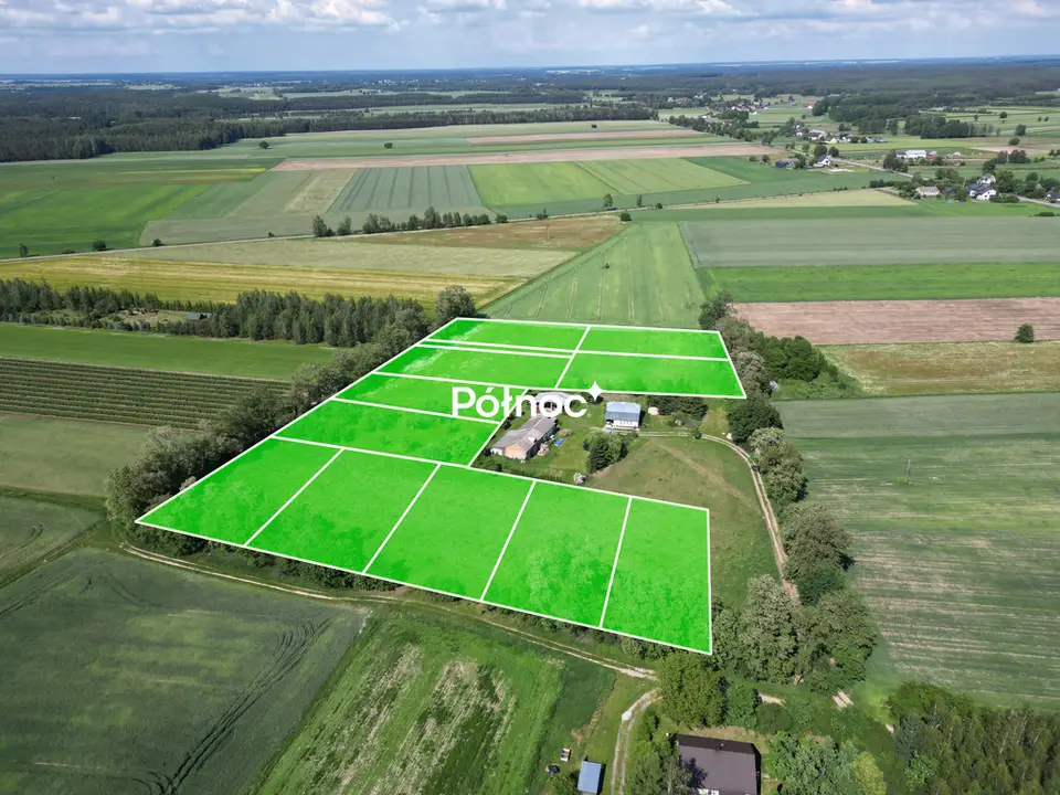 Zdjęcie 4