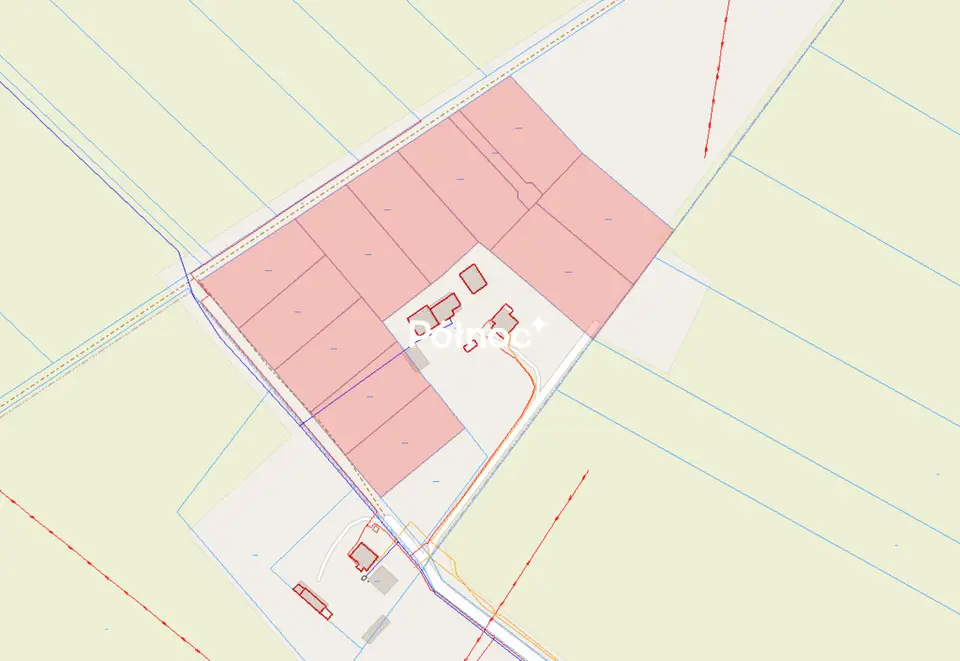 Zdjęcie 5