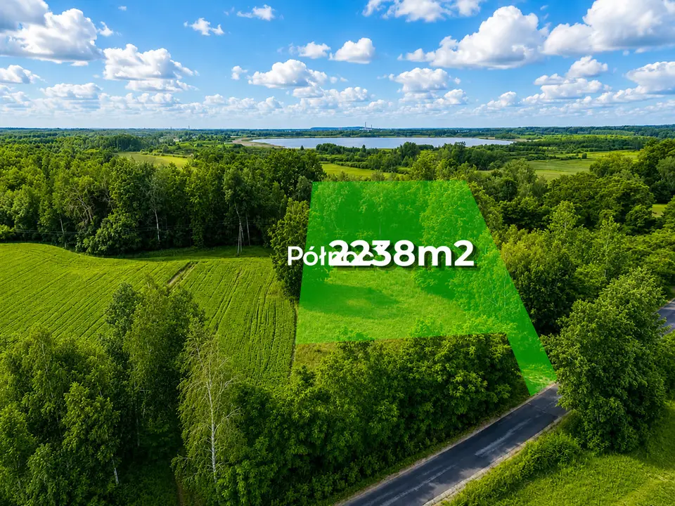 Zdjęcie 4