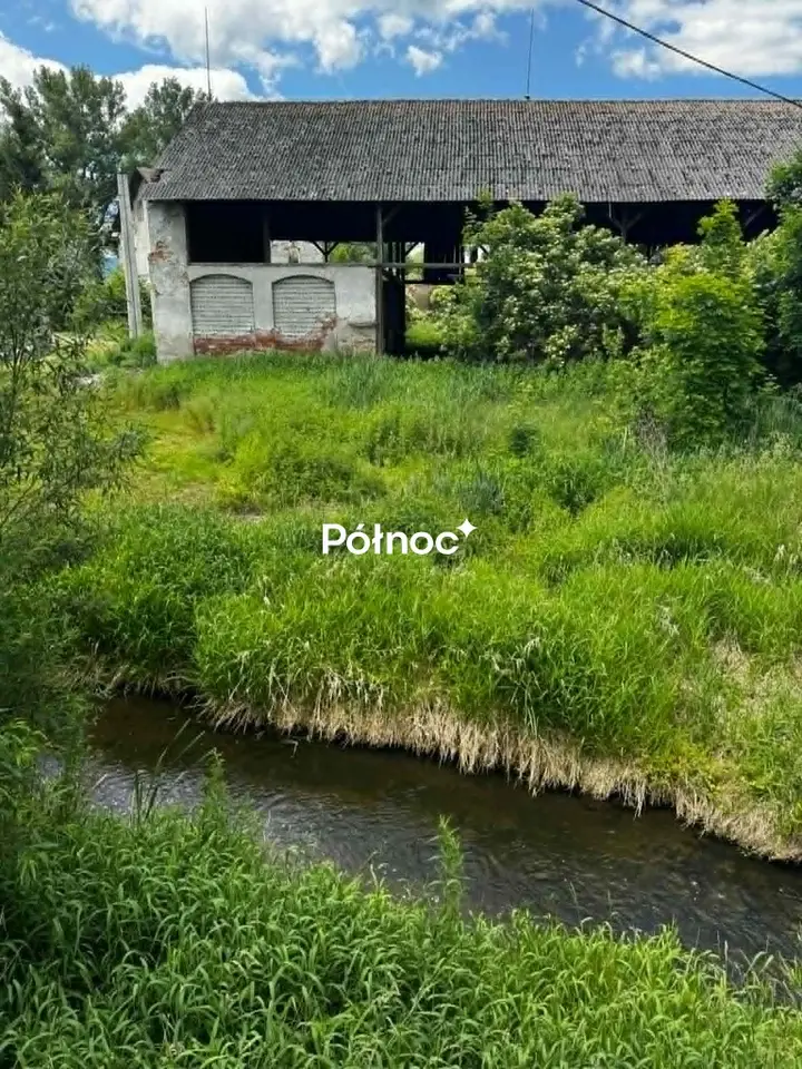 Zdjęcie 4