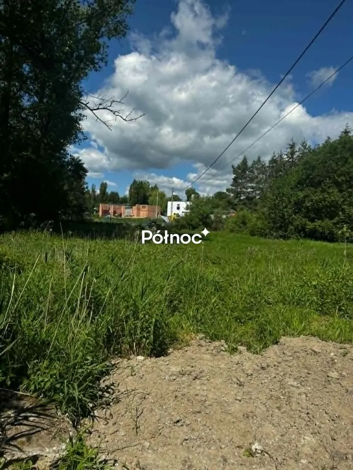 Zdjęcie 6