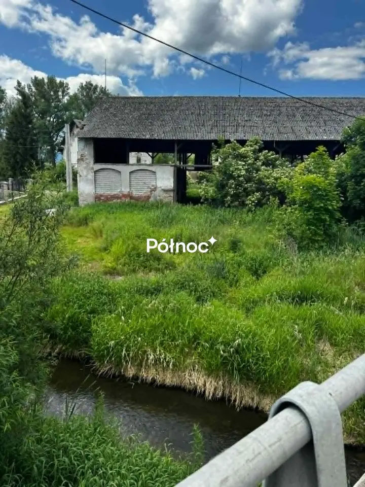 Zdjęcie 8