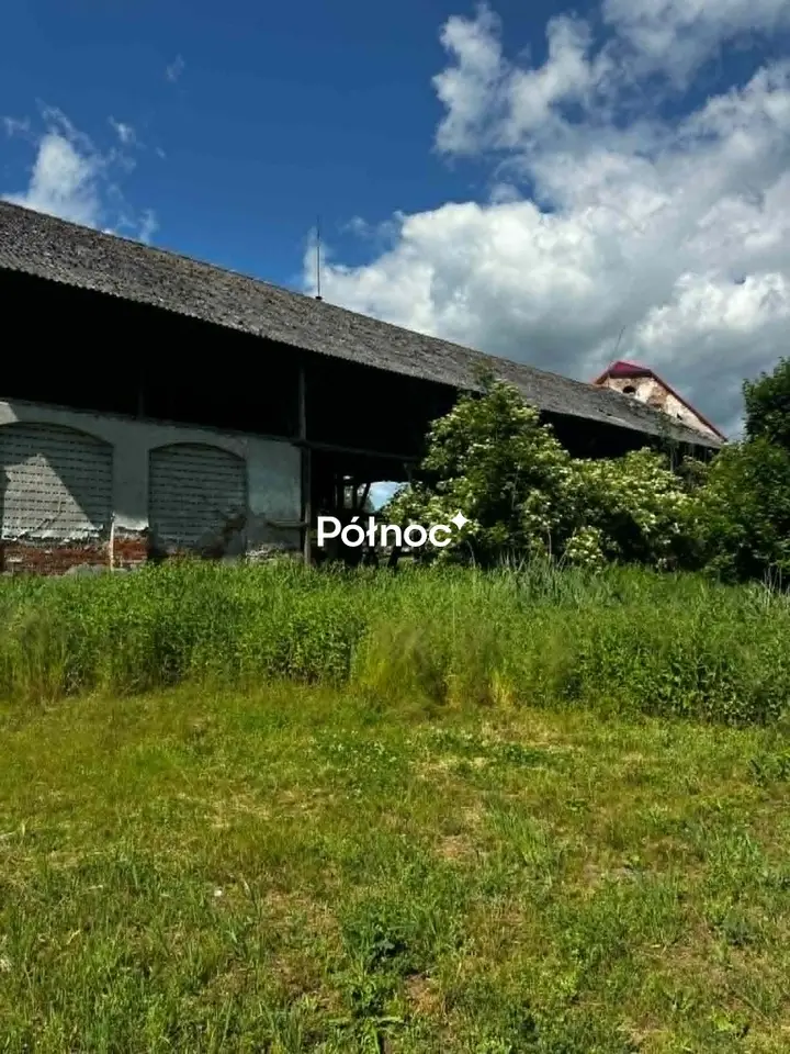 Zdjęcie 9