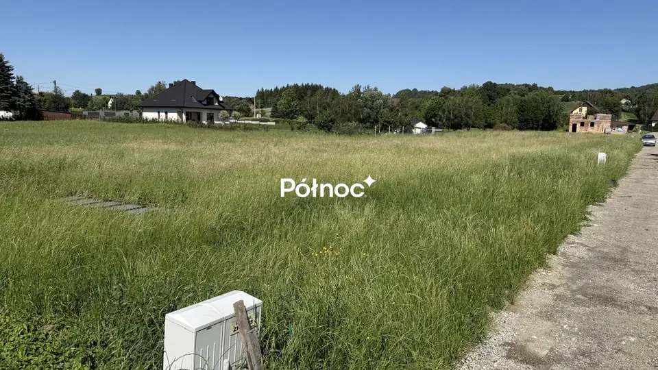 Zdjęcie 5