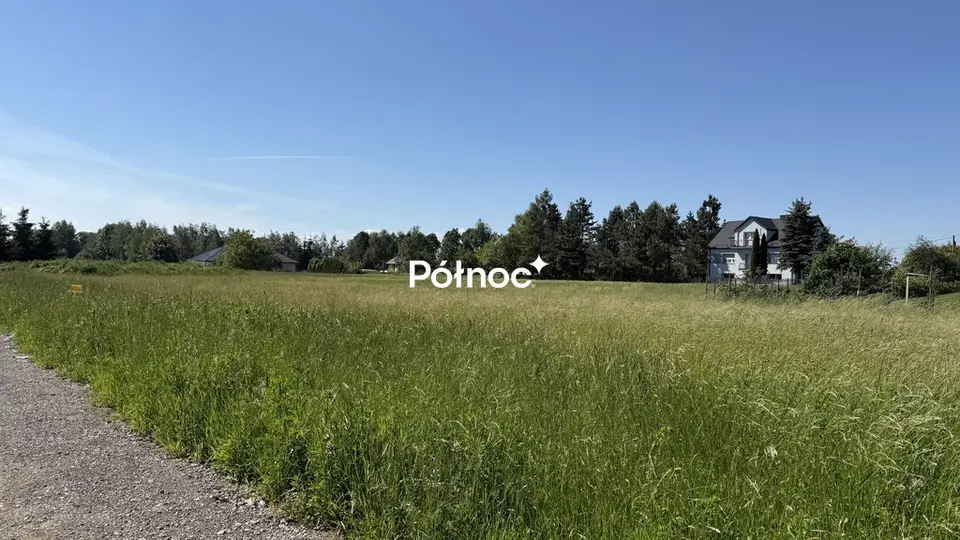 Zdjęcie 6