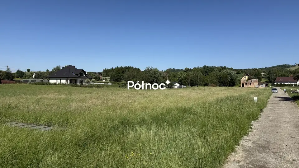 Zdjęcie 7