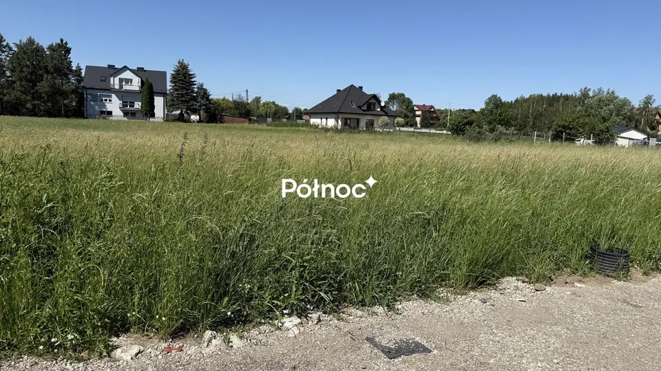 Zdjęcie 8
