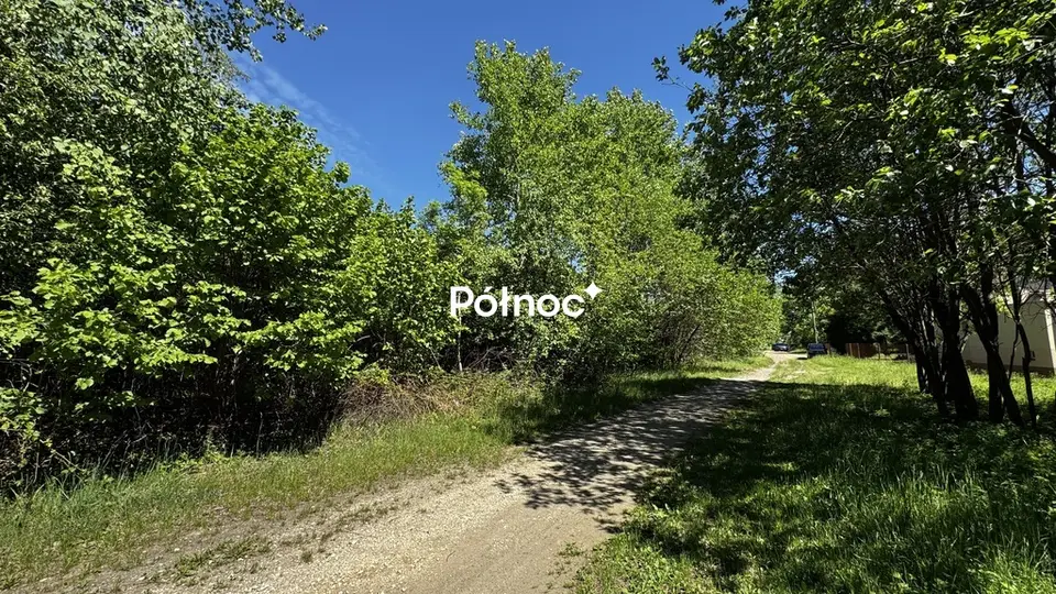 Zdjęcie 5