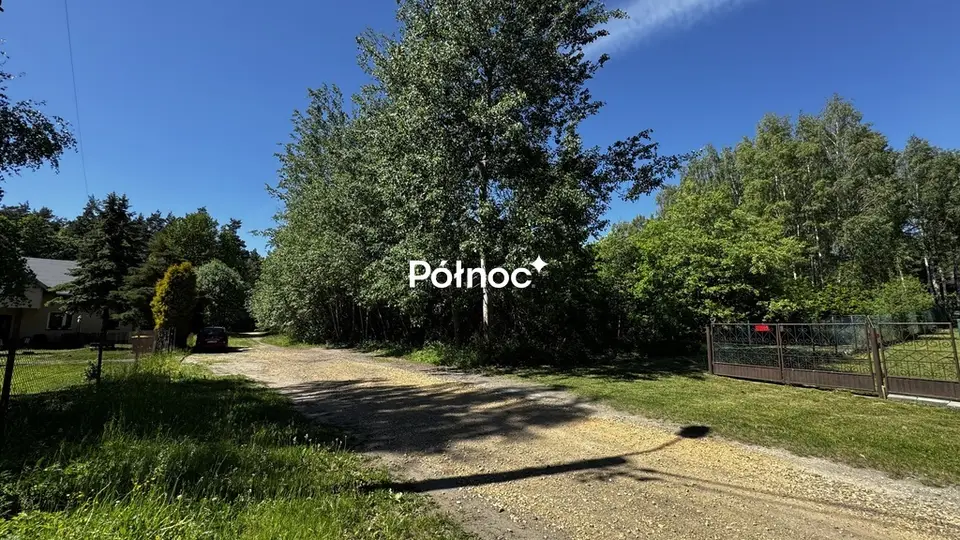 Zdjęcie 6