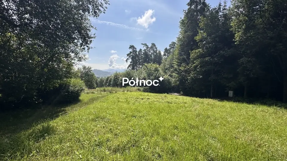 Zdjęcie 2